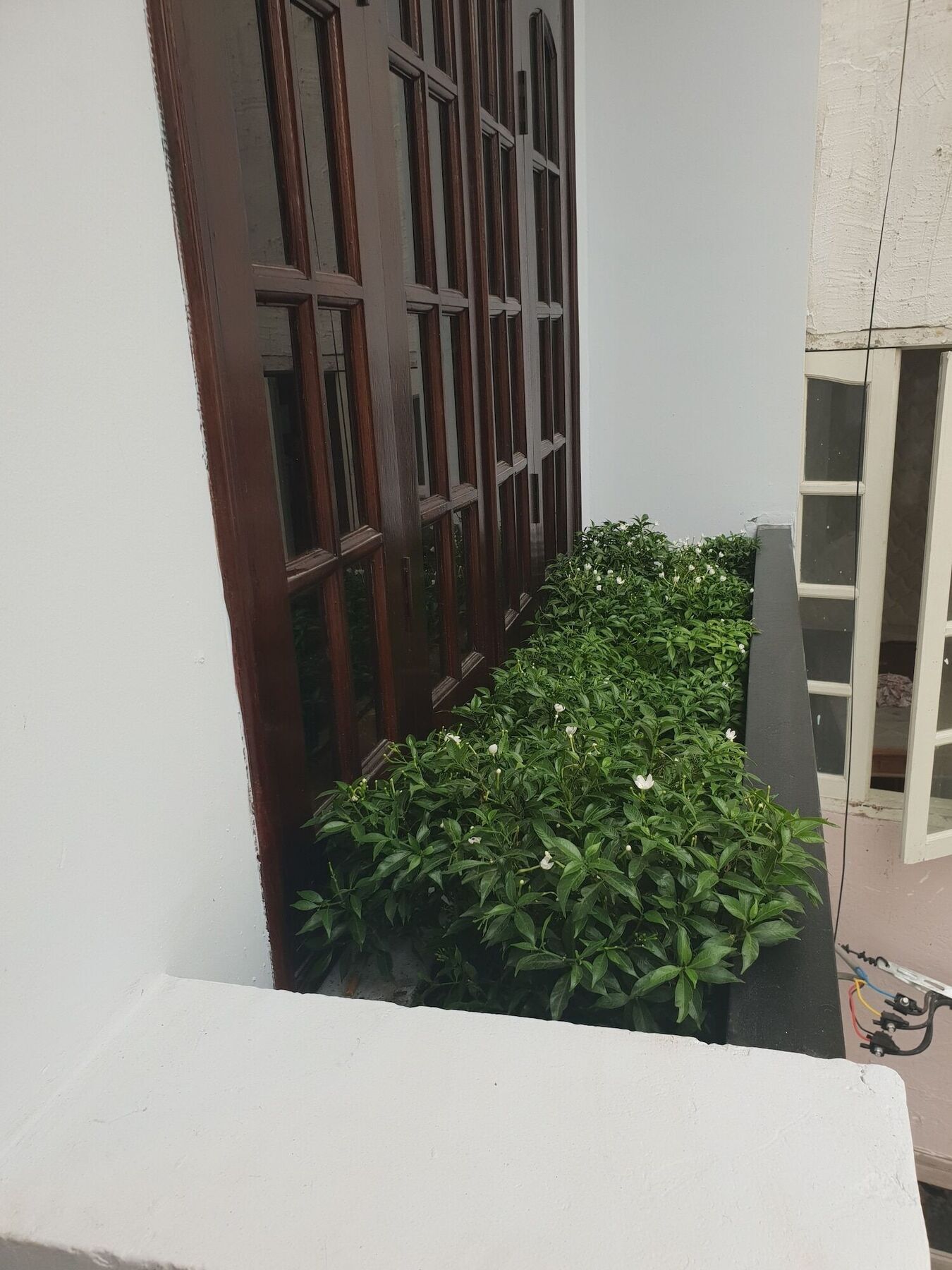 Thai Anh House - The Airport Хошимин Экстерьер фото